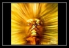 Sun Goddess Ringtone Download Free