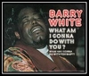 Barry White - What Am I Gonna Do With You Ringtone Download Free MP3