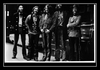 The Nitty Gritty Dirt Band - Battle Of New Orleans Ringtone Download Free MP3