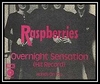 The Raspberries - Overnight Sensation (Hit Record) Ringtone Download Free MP3