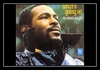 Marvin Gaye - What's Going On Ringtone Download Free MP3