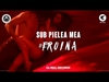 Sub Pielea Mea (Banderas Radio Mix) Ringtone Download Free