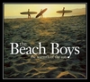 The Beach Boys - Break Away Ringtone Download Free MP3