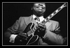 B.B. King - Why I Sing The Blues Ringtone Download Free MP3