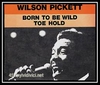 Wilson Pickett - Born To Be Wild Ringtone Download Free MP3