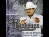 Chuy Lizarraga - El Muchacho Alegre Ringtone Download Free MP3