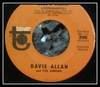 Davie Allan And The Arrows - Blue's Theme Ringtone Download Free MP3