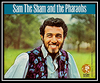 Sam The Sham And The Pharaohs - How Do You Catch A Girl Ringtone Download Free MP3