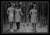 The Marvelettes - Don't Mess With Bill Ringtone Download Free MP3