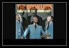 The Bachelors - Chapel In The Moonlight Ringtone Download Free MP3