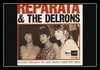 Reparata And The Delrons - Tommy Ringtone Download Free MP3