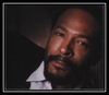 Marvin Gaye - How Sweet It Is To Be Loved By You Ringtone Download Free MP3