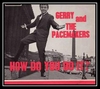 Gerry And The Pacemakers - How Do You Do It? Ringtone Download Free MP3