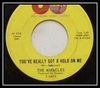 The Miracles - You've Really Got A Hold On Me Ringtone Download Free MP3