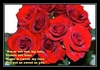 Long As The Rose Is Red Ringtone Download Free