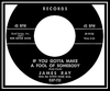 James Ray - If You Gotta Make A Fool Of Somebody Ringtone Download Free MP3