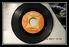 Chubby Checker - The Fly Ringtone Download Free MP3