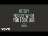 Netsky - Forget What You Look Like Ringtone Download Free MP3