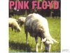 Pink Floyd - Sheep Ringtone Download Free MP3