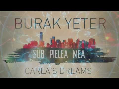 Sub Pielea Mea Ringtone Download Free