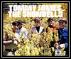 Tommy James & The Shondells - Come To Me Ringtone Download Free MP3