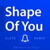 Ringtone - Shape Of You Ringtone Download Free MP3