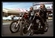 Theme From The Wild Angels Ringtone Download Free