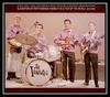 The Ventures - Blue Moon Ringtone Download Free MP3