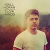 Niall Horan - Slow Hands Ringtone Download Free MP3