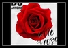 DJ Antoine - La Vie En Rose Ringtone Download Free MP3