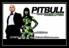 Pitbull - Both Die Right Now Ringtone Download Free MP3