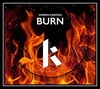 Whitewildbear - Burn (Original MIx) Ringtone Download Free MP3