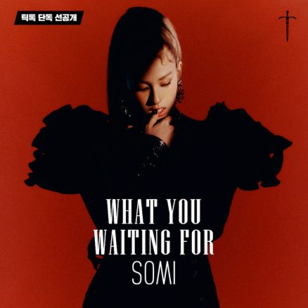 SOMI - What You Waiting For Ringtone Download Free MP3