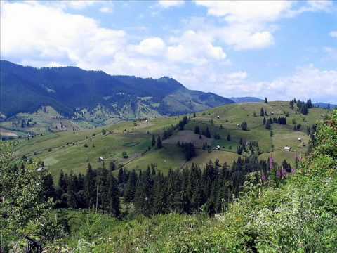 BUCOVINA - Straja Ringtone Download Free MP3