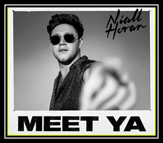 Niall Horan - Nice To Meet Ya Ringtone Download Free MP3