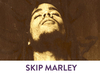 Skip Marley - Lions Ringtone Download Free MP3