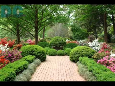 The Garden Ringtone Download Free