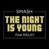 DJ Smash Feat. Ridley - The Night Is Young Ringtone Download Free MP3