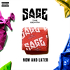 Sage The Gemini - Now Or Later Ringtone Download Free MP3