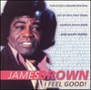 James Brown - I Feel Good Ringtone Download Free MP3