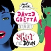 David Guetta - Shot Me Down Ringtone Download Free MP3