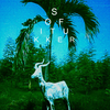 Sofi Tukker - Drinkee Ringtone Download Free MP3