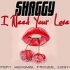 Shaggy - I Need Your Love Ringtone Download Free MP3