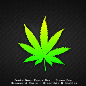 Snoop Dogg Q Bootleg Ringtone Download Free