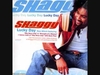 Shaggy Ft. Will Smith, Sean Paul, Brian And Tony Gold - Hey Sexy Lady Ringtone Download Free MP3