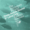 Deep Active Sound Feat Lena Grig - Got U (Original Mix) Ringtone Download Free MP3