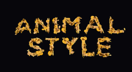 Animal Style Ringtone Download Free