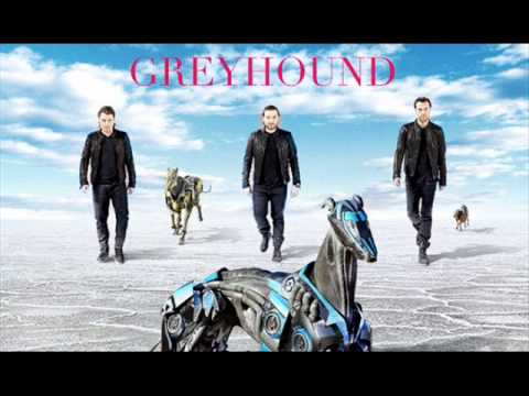 Greyhound Ringtone Download Free