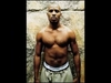 DMX - Dog Is Out Ringtone Download Free MP3