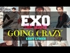 Exo - Going Crazy Ringtone Download Free MP3